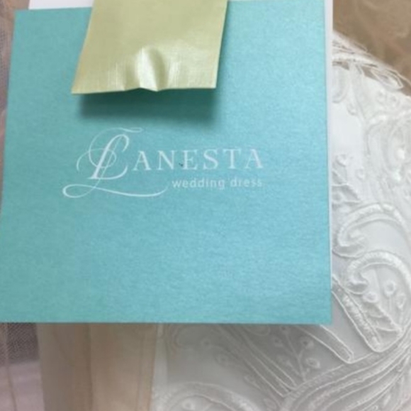 Gorgeous Wedding Gown, NEW, never worn, stored in garment bag! - Picture 9 of 16